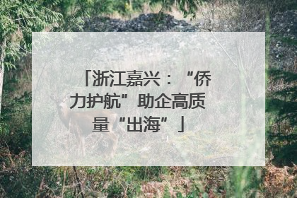 浙江嘉兴：“侨力护航”助企高质量“出海”