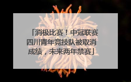 消极比赛！中冠联赛四川青年竞技队被取消成绩，未来两年禁赛