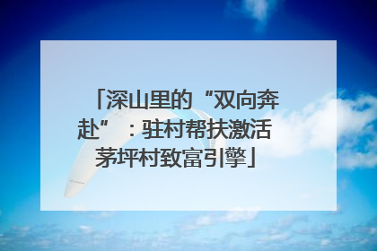 深山里的“双向奔赴”：驻村帮扶激活茅坪村致富引擎