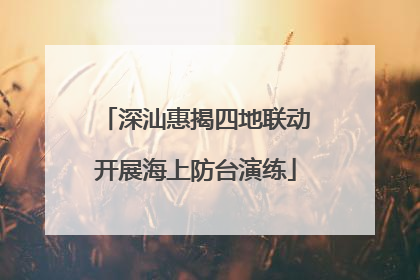 深汕惠揭四地联动开展海上防台演练