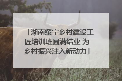 湖南绥宁乡村建设工匠培训班圆满结业 为乡村振兴注入新动力