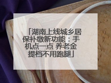 湖南上线城乡居保补缴新功能：手机点一点 养老金提档不用跑腿