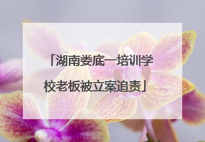 湖南娄底一培训学校老板被立案追责