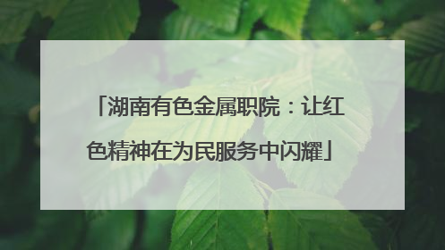 湖南有色金属职院：让红色精神在为民服务中闪耀