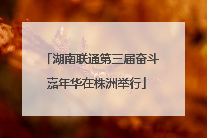 湖南联通第三届奋斗嘉年华在株洲举行