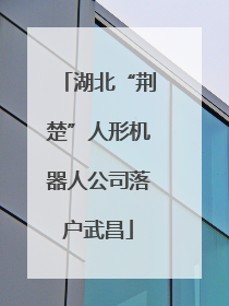湖北“荆楚”人形机器人公司落户武昌