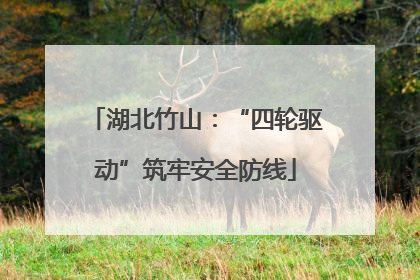 湖北竹山：“四轮驱动”筑牢安全防线