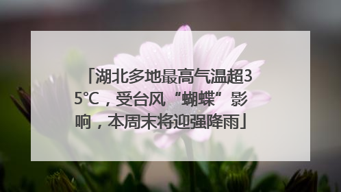 湖北多地最高气温超35℃，受台风“蝴蝶”影响，本周末将迎强降雨