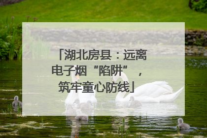 湖北房县：远离电子烟“陷阱”，筑牢童心防线