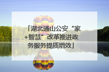 湖北通山公安“家+智慧”改革推进政务服务提质增效