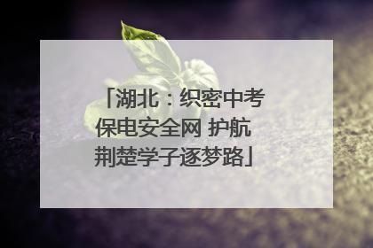湖北：织密中考保电安全网 护航荆楚学子逐梦路