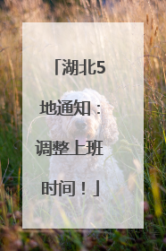 湖北5地通知：调整上班时间！