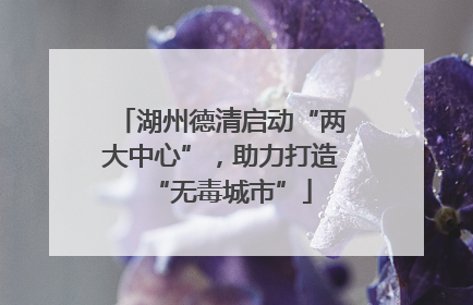 湖州德清启动“两大中心”，助力打造“无毒城市”