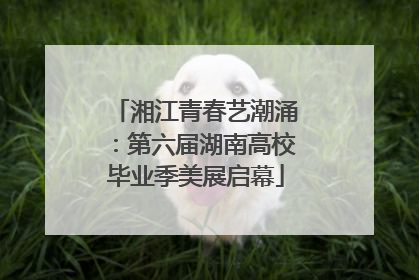 湘江青春艺潮涌：第六届湖南高校毕业季美展启幕