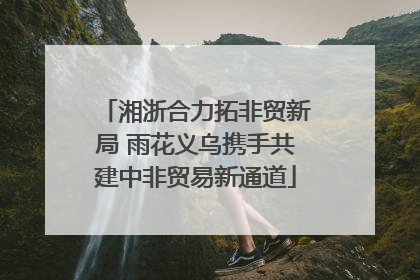 湘浙合力拓非贸新局 雨花义乌携手共建中非贸易新通道