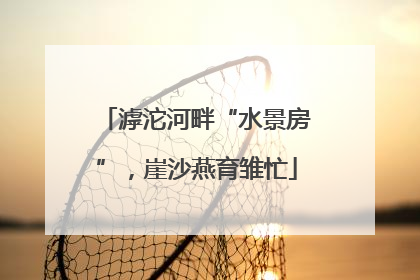 滹沱河畔“水景房”，崖沙燕育雏忙