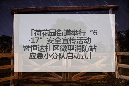 荷花园街道举行“6·17”安全宣传活动暨恒达社区微型消防站应急小分队启动式