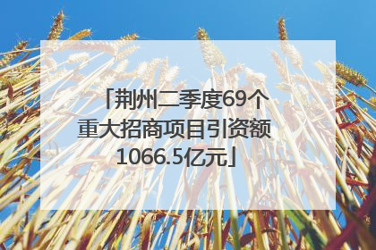 荆州二季度69个重大招商项目引资额1066.5亿元