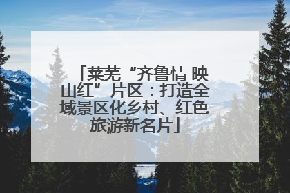 莱芜“齐鲁情 映山红”片区：打造全域景区化乡村、红色旅游新名片