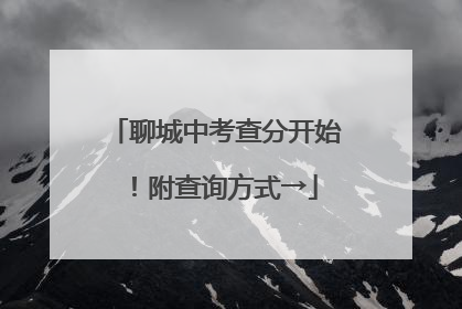 聊城中考查分开始！附查询方式→