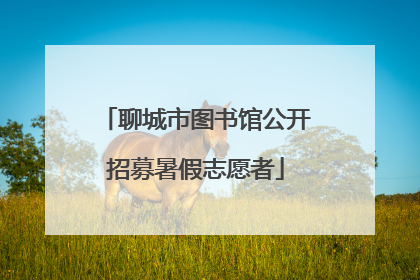 聊城市图书馆公开招募暑假志愿者