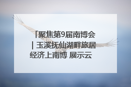 聚焦第9届南博会｜玉溪抚仙湖畔旅居经济上南博 展示云南生活新样本