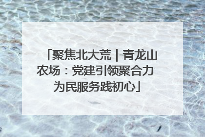 聚焦北大荒｜青龙山农场：党建引领聚合力 为民服务践初心