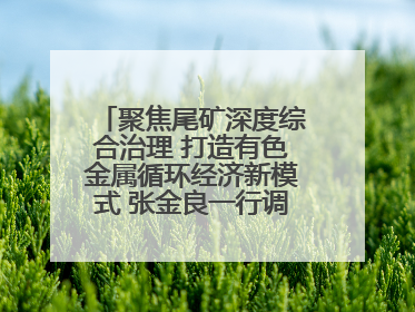 聚焦尾矿深度综合治理 打造有色金属循环经济新模式 张金良一行调研栾川县尾矿库综合治理工作