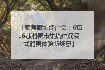 聚焦廊坊经洽会：6街16巷消费市集搭建沉浸式消费体验新场景