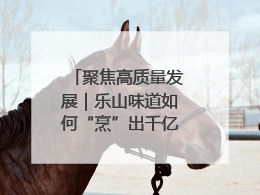 聚焦高质量发展｜乐山味道如何“烹”出千亿文旅产业