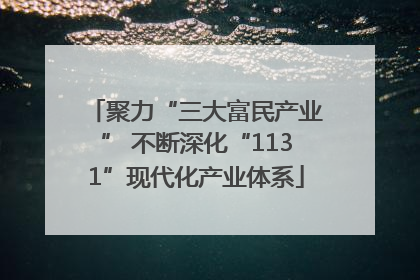 聚力“三大富民产业” 不断深化“1131”现代化产业体系