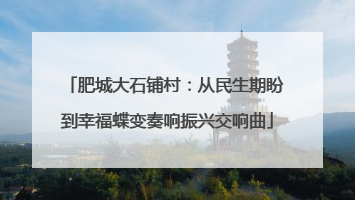 肥城大石铺村：从民生期盼到幸福蝶变奏响振兴交响曲