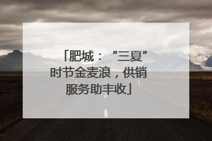 肥城：“三夏”时节金麦浪，供销服务助丰收