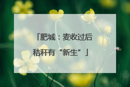 肥城：麦收过后秸秆有“新生”