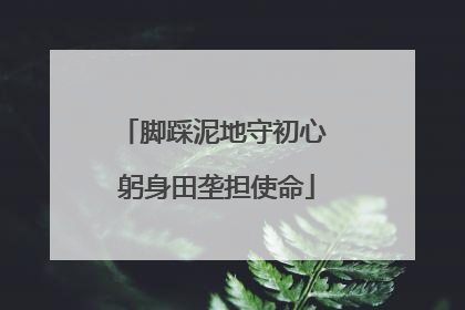脚踩泥地守初心 躬身田垄担使命
