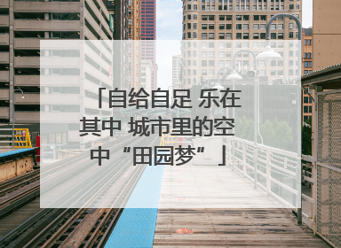 自给自足 乐在其中 城市里的空中“田园梦”