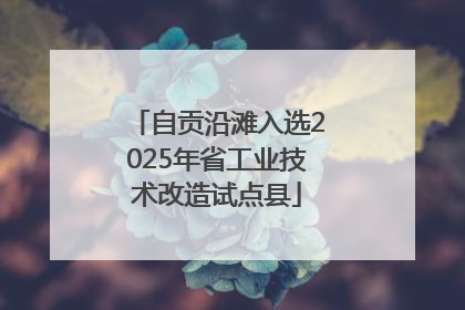 自贡沿滩入选2025年省工业技术改造试点县
