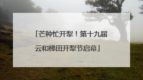 芒种忙开犁！第十九届云和梯田开犁节启幕