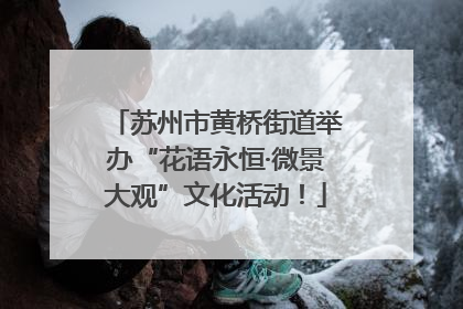 苏州市黄桥街道举办“花语永恒·微景大观”文化活动！