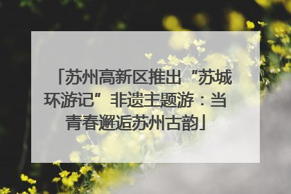 苏州高新区推出“苏城环游记”非遗主题游：当青春邂逅苏州古韵