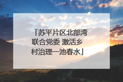苏平片区北部湾联合党委 激活乡村治理一池春水