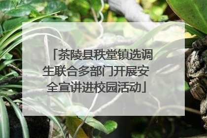 茶陵县秩堂镇选调生联合多部门开展安全宣讲进校园活动