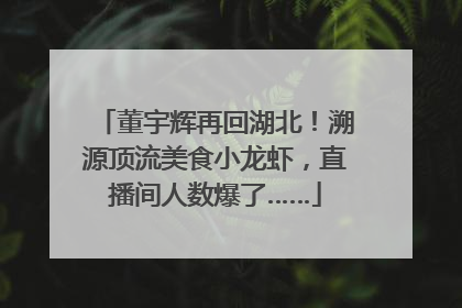 董宇辉再回湖北！溯源顶流美食小龙虾，直播间人数爆了……