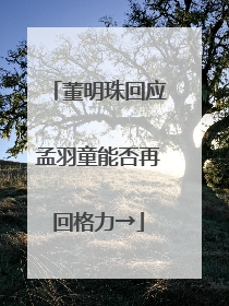 董明珠回应孟羽童能否再回格力→