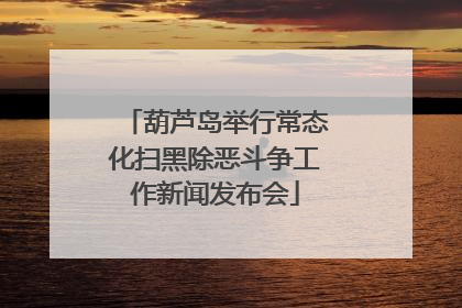 葫芦岛举行常态化扫黑除恶斗争工作新闻发布会