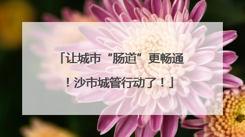 让城市“肠道”更畅通！沙市城管行动了！
