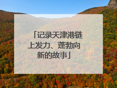 记录天津港链上发力、蓬勃向新的故事