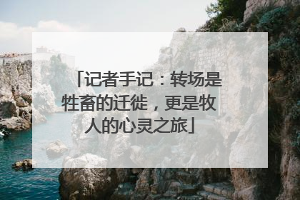 记者手记：转场是牲畜的迁徙，更是牧人的心灵之旅