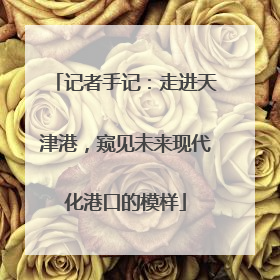 记者手记：走进天津港，窥见未来现代化港口的模样