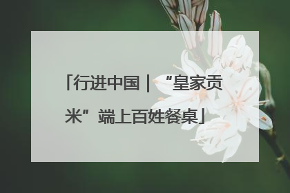 行进中国｜“皇家贡米”端上百姓餐桌